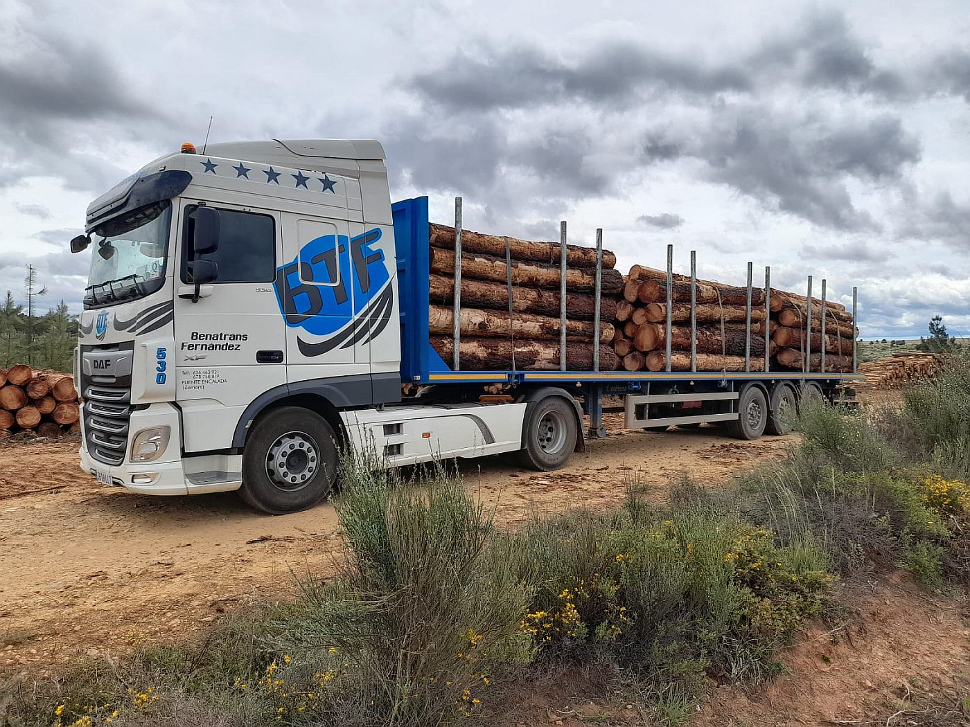 camion troncos casi lado
