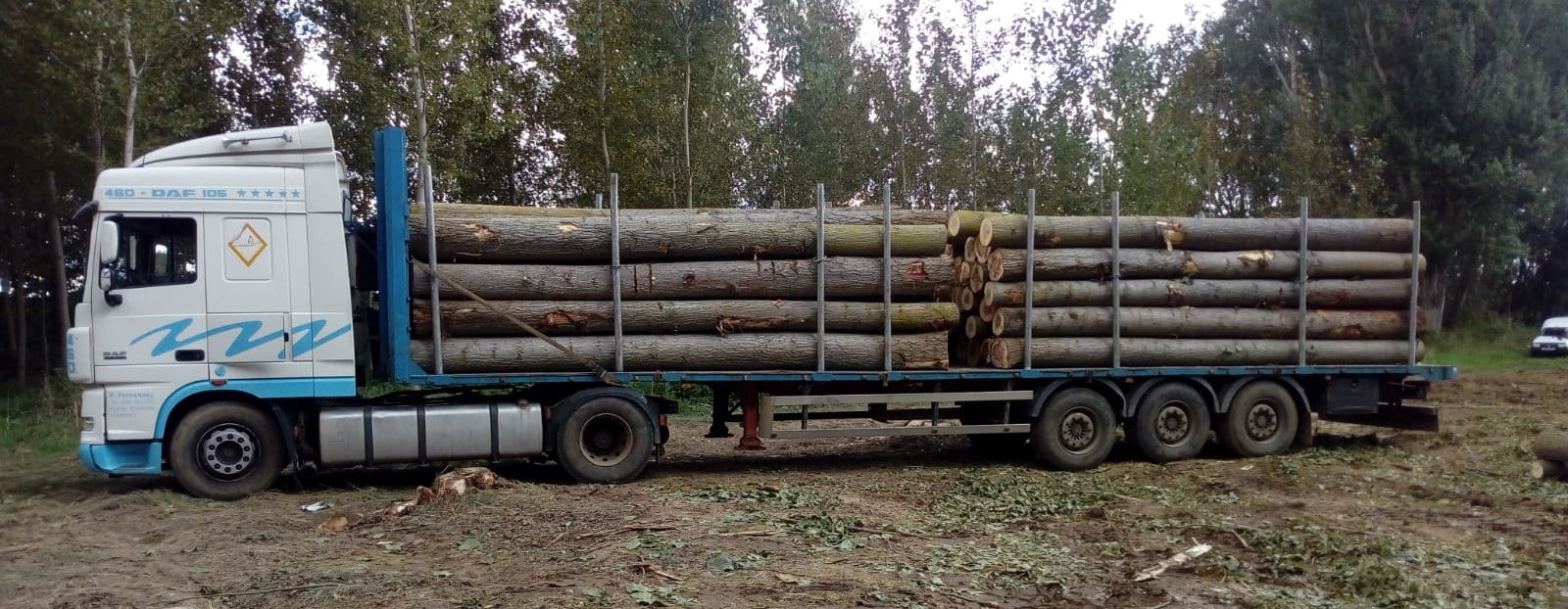 camion troncos de lado redu